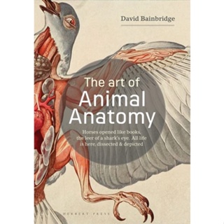 The Art of Animal Anatomy : All Life is Here, Dissected and Depicted