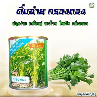 ผลิตภัณฑ์ใหม่ เมล็ดพันธุ์ สปอตสินค้า❤เมล็ดคื่นฉ่าย กรองทอง ขนาด50กรัม ตราปลาทอง เมล็ดอวบอ้วนคื่นฉ่าย เมล็ดอวบอ้ว ค/เมล็ด