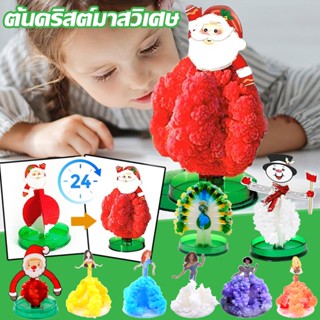 【COD】ต้นคริสต์มาส ของเล่น Magic Growing Christmas Tree ต้นไม้วิทยาศาสตร์ ของขวัญคริสต์มาส DIY ของเล่นเด็ก