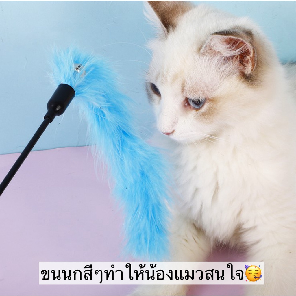 bn-397-ไม้ตกแมว-ไม้ล่อแมวหนอนผีเสื้อ-คละสี-ของเล่นแมว-ยาว-50-cm-ราคาถูก-พร้อมส่ง