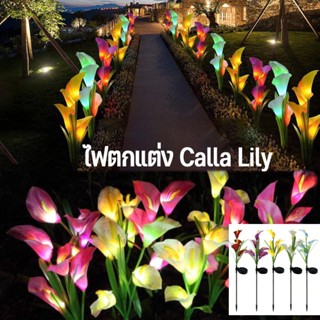 ✨พร้อมจัดส่ง🌺 พลังงานแสงอาทิตย์  Calla Lily ไฟตกแต่ง ไฟสวน โคมไฟทางเดินในสวนกันน้ำ