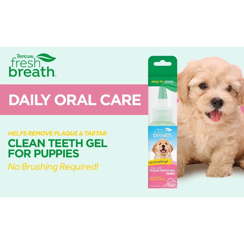 เจลหยอดฟันสำหรับสุนัข-fresh-breath-clean-teeth-gel-เฟรชเบรธ-คลีน-เจลทำความสะอาดฟันสุนัข-เจลป้ายฟันสุนัข-ยาสีฟันหมา-สุนัข