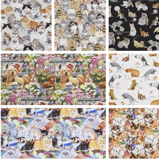 ผ้าฝ้าย 100% พิมพ์ลายการ์ตูนแมวคิตตี้น่ารัก สําหรับเย็บผ้า ควิลท์ แฮนด์เมด DIY