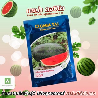 ผลิตภัณฑ์ใหม่ เมล็ดพันธุ์ สปอตสินค้า❤ใหม่! ตอปิโด เมญ่า เมล็ดอวบอ้วน แตงโม แตงโมเมญ่า เจียไต๋ 40กรัม  เมล็ดแตงโ คล/เ XG8