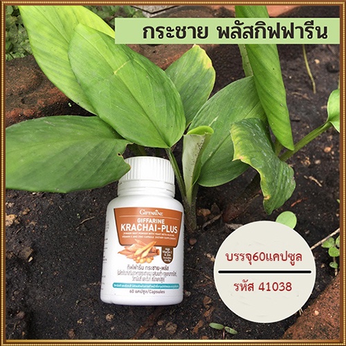 sale-กระชายผง250มก-giffarineกระชายพลัสปลอดภัยทานได้ต่อเนื่อง-รหัส41038-จำนวน1กระปุก-60แคปซูล-รับประกันของแท้100