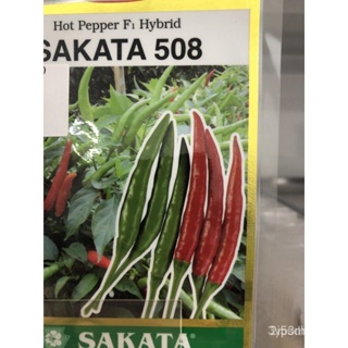 ผลิตภัณฑ์ใหม่ เมล็ดพันธุ์ จุดประเทศไทย ❤เมล็ดพันธุ์bernih cili Sakata 508 repack approx 16 bijiเมล็ดอวบอ้วน 100 คล/เ 1H2