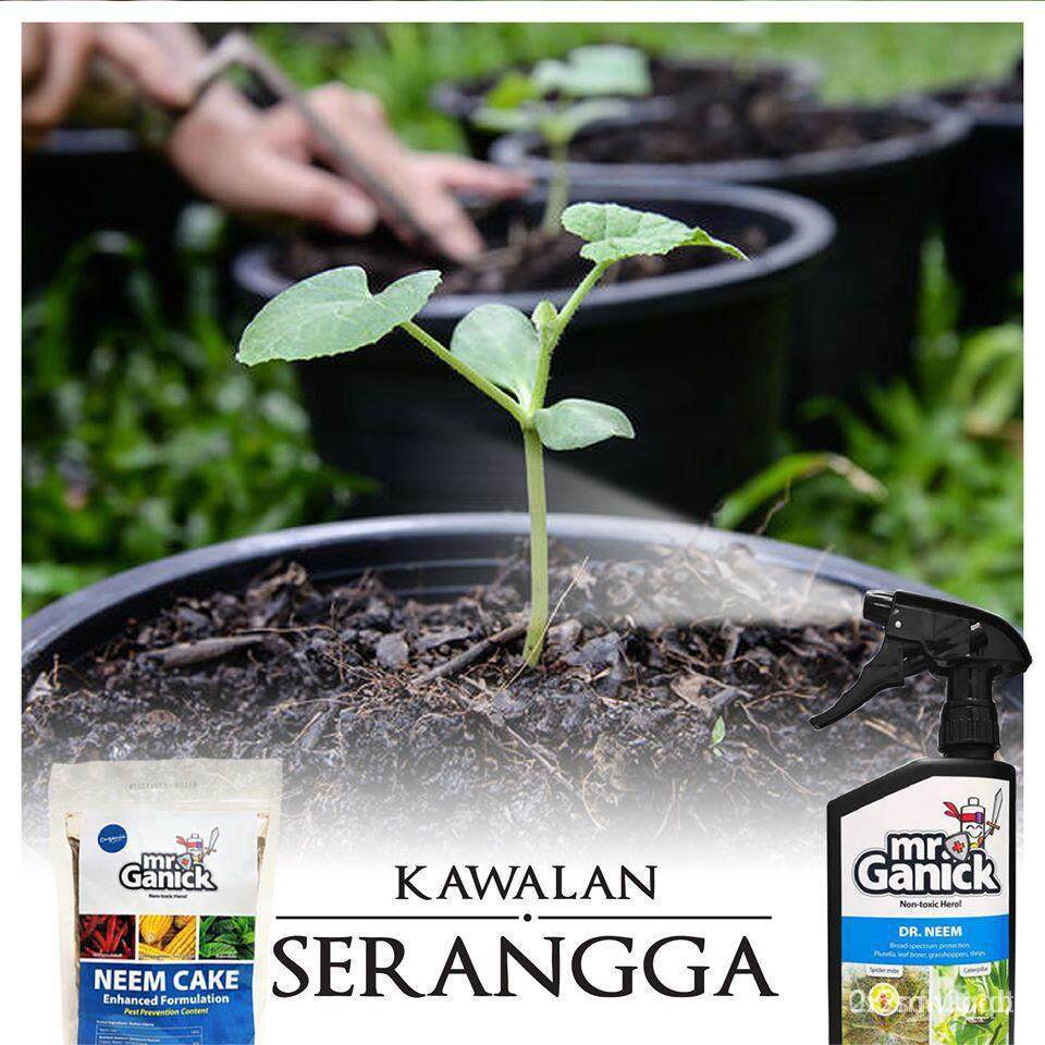 ผลิตภัณฑ์ใหม่-เมล็ดพันธุ์-จุดประเทศไทย-baba-ve-040-smart-grow-watermelon-seed-vegetable-seed-10-seeds-hot-สวนครัว
