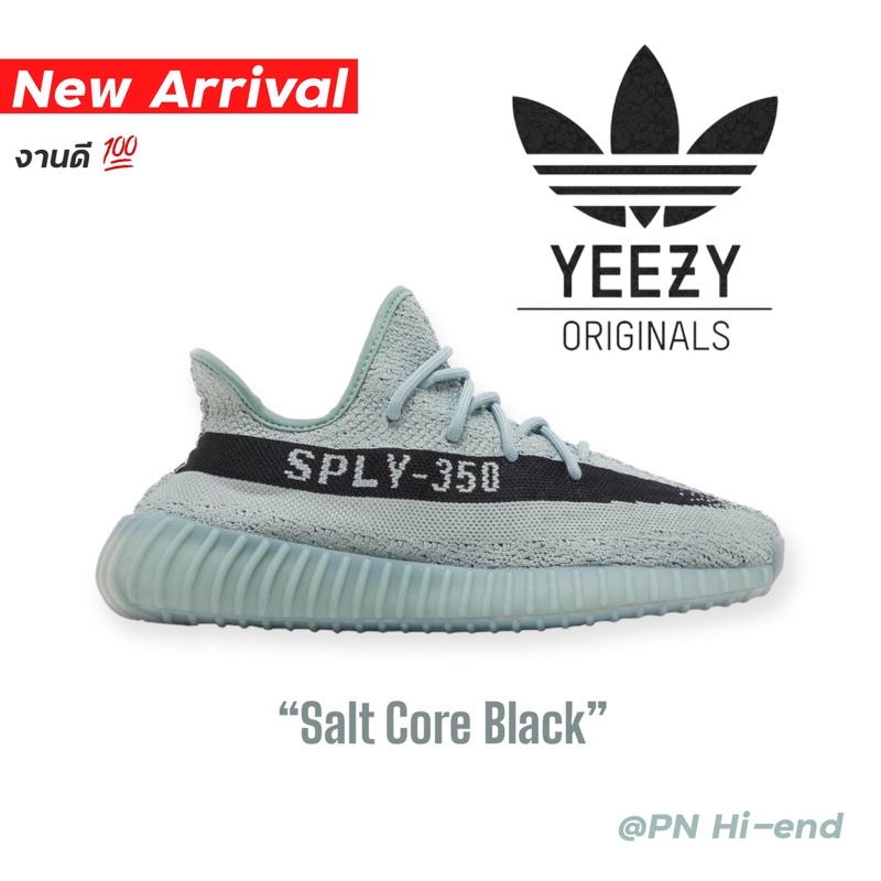 Adidas Yeezy Boost 350 V2 Salt PK God 40 46
