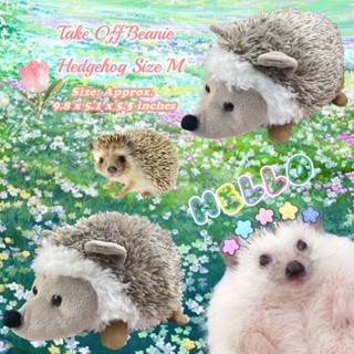 ตุ๊กตาน้องเม่น อ้วนๆนุ่มๆ ป้าย Take Off ก้นถ่วง Take Off Beanie Hedgehog Size M (approx. 9.8x5.1x5.5 inches)