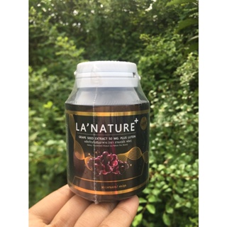 Lanature Grape Seed Extract สารสกัดจากเมล็ดองุ่น เกรปซีด พลัส