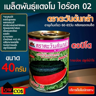 เมล็ดพันธุ์แตงโม ไฮร๊อค 02 ตอปิโด ไฮรอค ปริมาณ 40กรัม