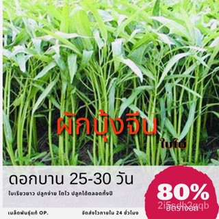 （คุณภาพสูง เมล็ด）เมล็ดพันธุ์ ผักบุ้งจีน 20 กรัม Water convolvulus ผักบุ้ง ✅ราคาถูกปลูกง่าย ปล/ง่าย ปลูก สวนครัว /ผักสลัด