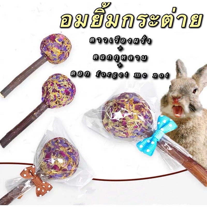 ขนมกระต่าย-อมยิ้มกระต่าย-ขนมสัตว์ฟันแทะ-snack-for-rabbits