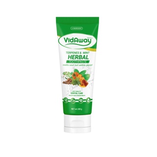 VidAway Terpenes &amp; Mint Herbal Toothpaste วิดอะเวย์ ยาสีฟันสมุนไพร สูตรเทอร์ปีนแอนด์มิ้นต์(สีเขียว)