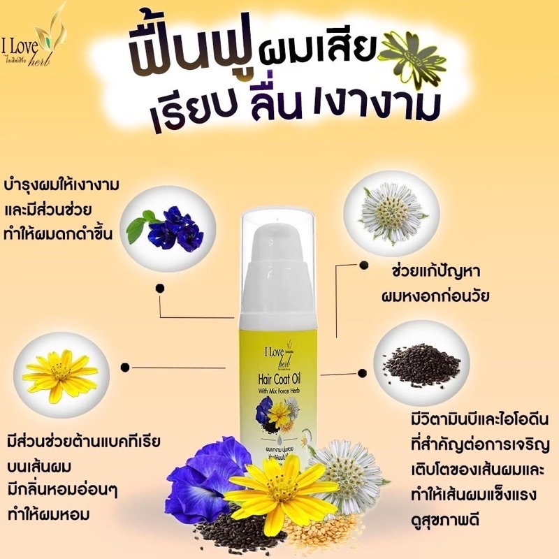 hair-coat-oil-ผลิตภัณฑ์บำรุงเส้นผม