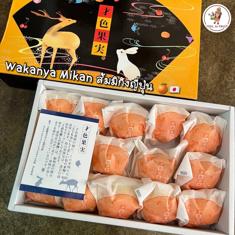 wakanya-mikan-ส้มมิกังญี่ปุ่น