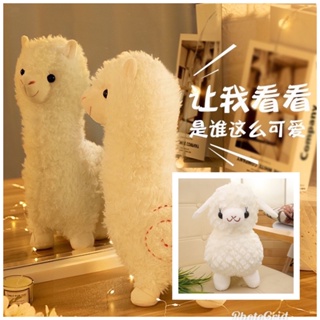 ภาพขนาดย่อของภาพหน้าปกสินค้าตุ๊กตาแกะ ตุ๊กตาอัลปาก้า Alpaca Doll อรุ่มเจ๊าะ จากร้าน lekandlove บน Shopee