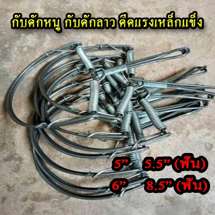 กับตีหนู-กับดักหนูนา-ทุกขนาดแยกมัดได้-พร้อมโปรโมชั่นสุดพิเศษ