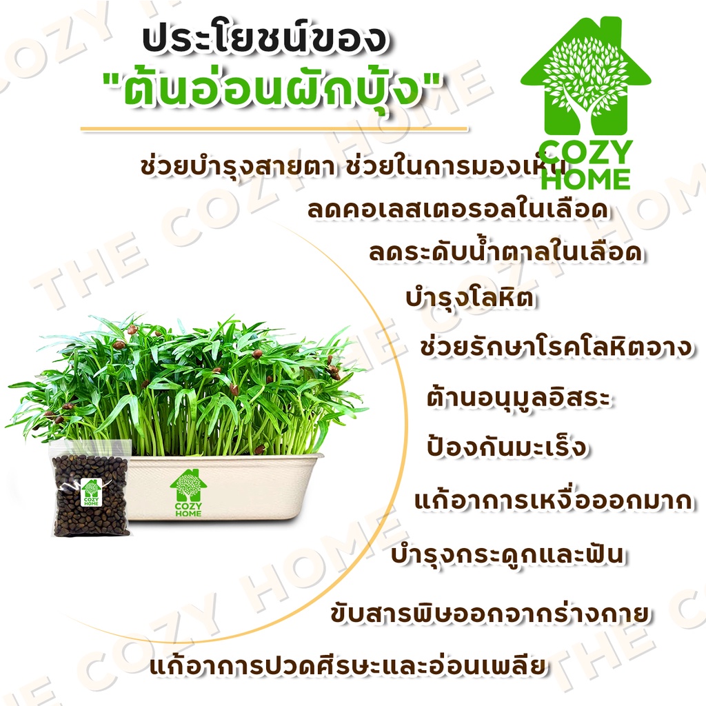 เมล็ดต้นอ่อน-เมล็ดผักไมโครกรีน-9-บาท-microgreen-ทานตะวัน-โตเหมี่ยว-ไควาเระ-ผักบุ้ง-ไมโครกรีน