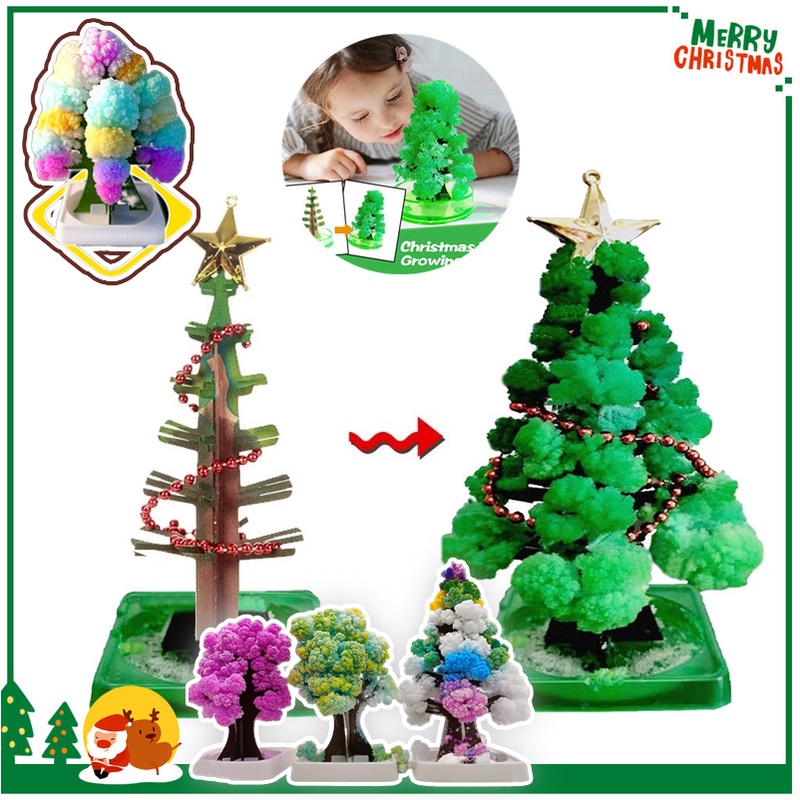 ต้นคริสต์มาส-ต้นไม้วิทยาศาสตร์-diy-magic-growing-christmas-tree