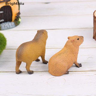 [Brightbiu] จําลองสัตว์ป่าจิ๋วน่ารักรุ่น Figurines Capybara คอลเลกชันของเล่นของขวัญ [th]