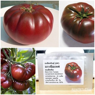 ผลิตภัณฑ์ใหม่ เมล็ดพันธุ์ 2022เมล็ดอวบอ้วน มะเขือเทศ แบล็คคิม (Black Krim Tomato Seed) 20 เมล็ด คุณภาพดี ราคาถู /ขายด VB