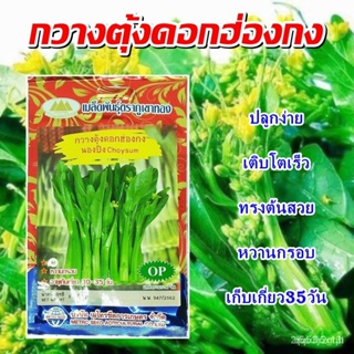 ผลิตภัณฑ์ใหม่ เมล็ดพันธุ์ เมล็ดพันธุ์คุณภาพสูงในสต็อกในประเทศไทย พร้อมส่งเมล็ดกวางตุ้งดอกฮ่องกง นองปิง choysum  คล/เ DPH