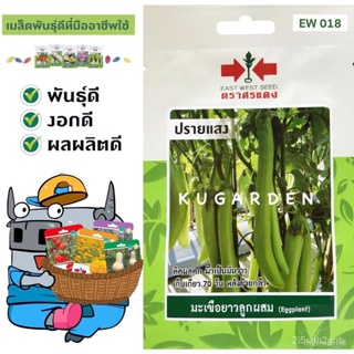 ผลิตภัณฑ์ใหม่ เมล็ดพันธุ์ จุดประเทศไทย ❤SORNDAENG  ผักซอง ศรแดง มะเขือยาว ปรายแสง #EW018 เมล็ดอวบอ้วน มะเขือ เม คล/เ RKT