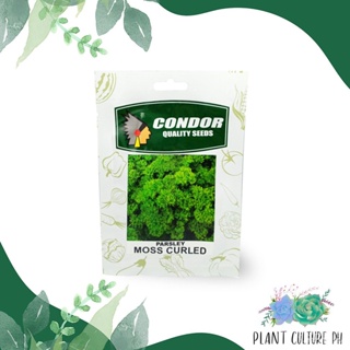 ผลิตภัณฑ์ใหม่ เมล็ดพันธุ์ จุดประเทศไทย ❤Condor Quality Seeds Parsley Moss Curled 7g by Plant Culture PHเมล็ดอวบอ/ผักบุ้ง
