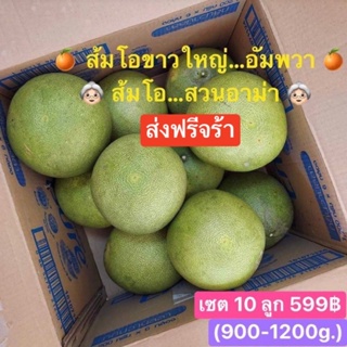 ภาพหน้าปกสินค้า🔥🔥🔥โปร 10 ลูก 5️⃣9️⃣9️⃣฿ส่งฟรีคร่า 🔥🔥🔥ส้มโอขาวใหญ่สวนอาม่า…อัมพวา👵🏻👵🏻👵🏻 ✨✨✨ น้ำหนักระหว่าง (900-1200g ) ซึ่งคุณอาจชอบสินค้านี้