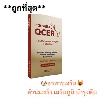 ภาพหน้าปกสินค้าQCER (หมดอายุ10/23)ผลิตภัณฑ์ต่อต้านมะเร็งและเสริมภูมิคุ้มกันสำหรับสัตว์เลี้ยง (20 เม็ด/กล่อง) มีแบ่งขาย ซึ่งคุณอาจชอบราคาและรีวิวของสินค้านี้