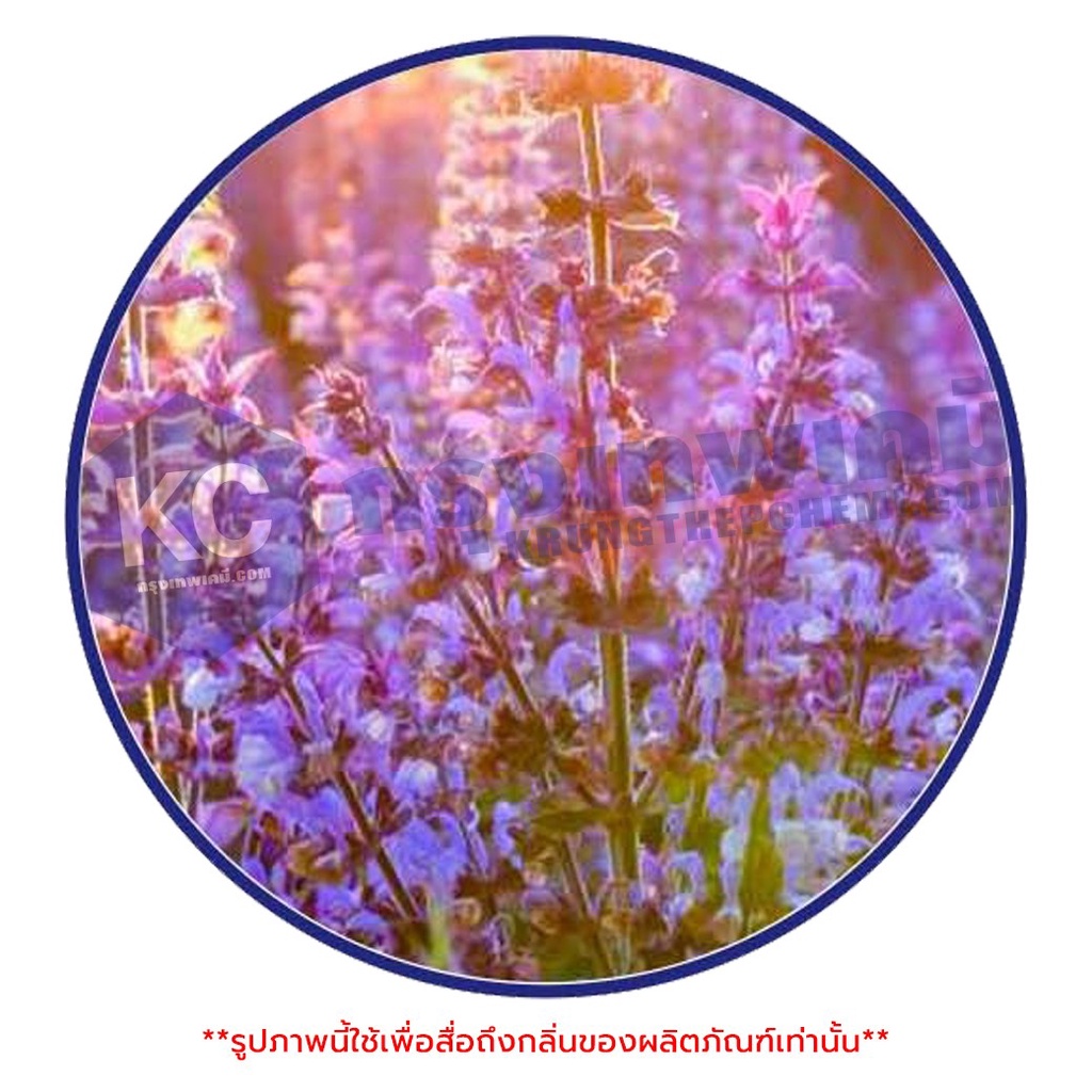 ภาพหน้าปกสินค้าA058CS-25G Clary Sage Fragrance : หัวน้ำหอม กลิ่นแครี่เสจ 25 กรัม จากร้าน krungthepchemi บน Shopee