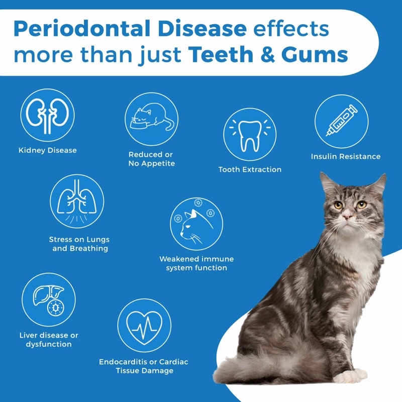 ส่งฟรี-ใช้โค้ด-oral-health-cat-อาหารเสริมดูแลช่องปากแมว