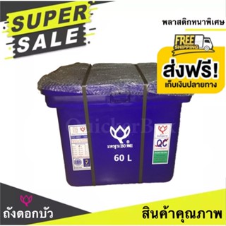 ถังน้ำแข็ง ถังแช่ ถังน้ำดื่ม ถังแช่น้ำแข็ง ขนาด 60 ลิตร ตราดอกบัว ถังสีน้ำเงิน ส่งฟรีทั่วประเทศ 🔥โปรสุดคุ้ม