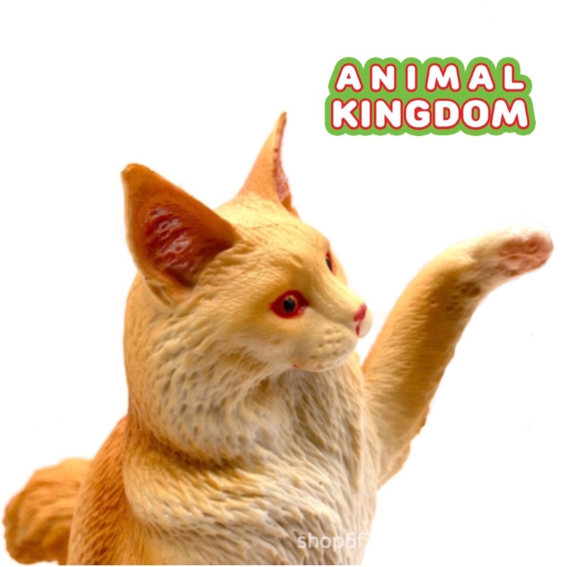 animal-kingdom-โมเดลสัตว์-แมวกวัก-ขาวเหลือง-ขนาด-12-00-cm-จากหาดใหญ่