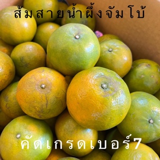 สินค้า ส้มสายน้ำผึ้ง จัมโบ้ เบอร์7 คัดใหญ่พิเศษ🍊