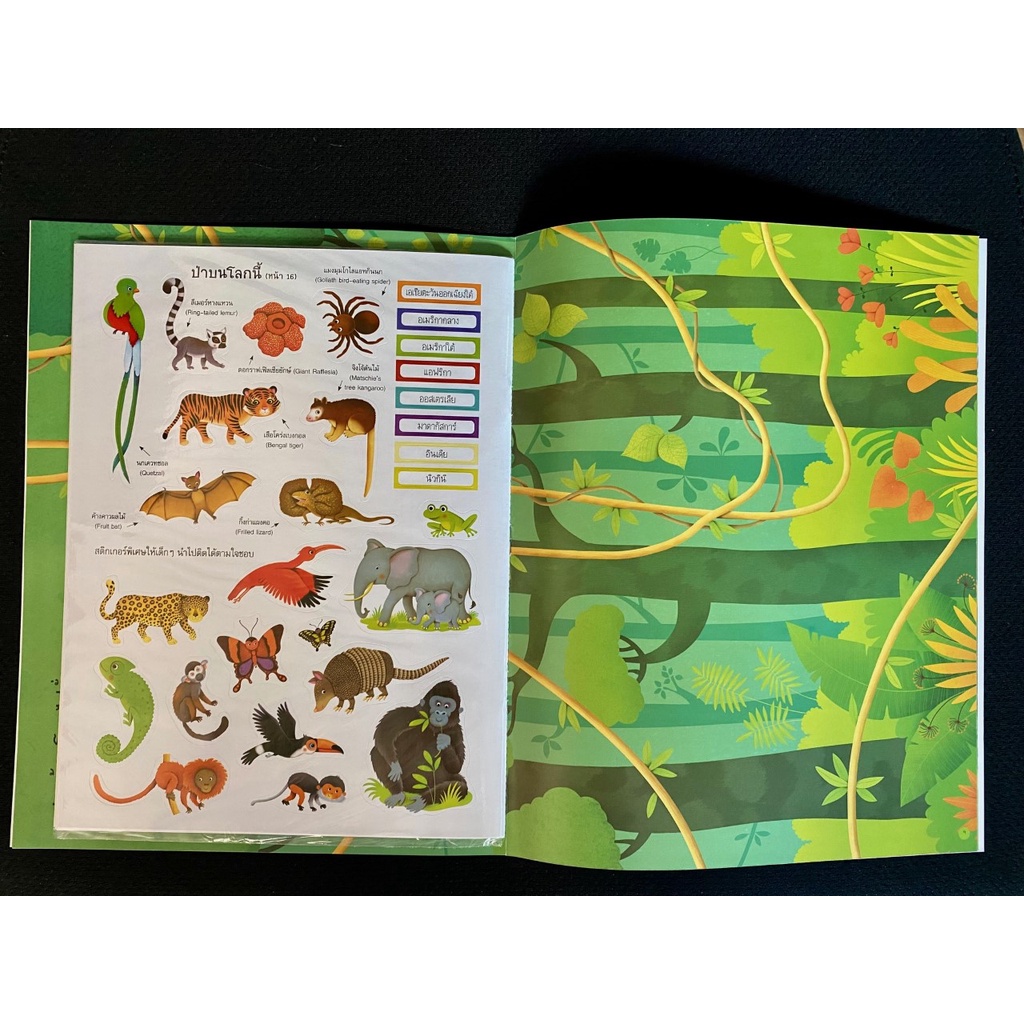aksara-for-kids-หนังสือเด็ก-สนุกกับการติด-สติกเกอร์-ไปเที่ยวป่า