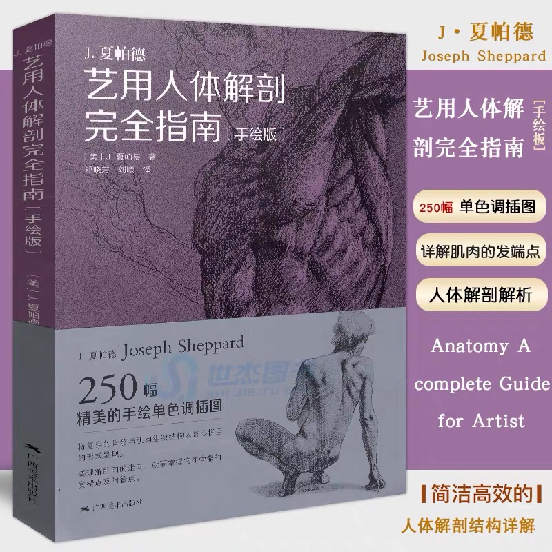 หนังสือศิลปะ-guide-to-human-anatomy-for-artistic-use-โดย-j-sheppard-ภาพคน-ร่างกาย-หนังสือสอนวาดรูป-สรีระ-กล้ามเนื้อ