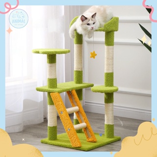 🌟Animal Pet Store🌟 🛒พร้อมส่ง📍คอนโดแมว คอนโดแมวราคาถูก กรอบปีนแมว ที่นอนแมว ของเล่นแมว เสาลับเล็บแมว cat tree condo house