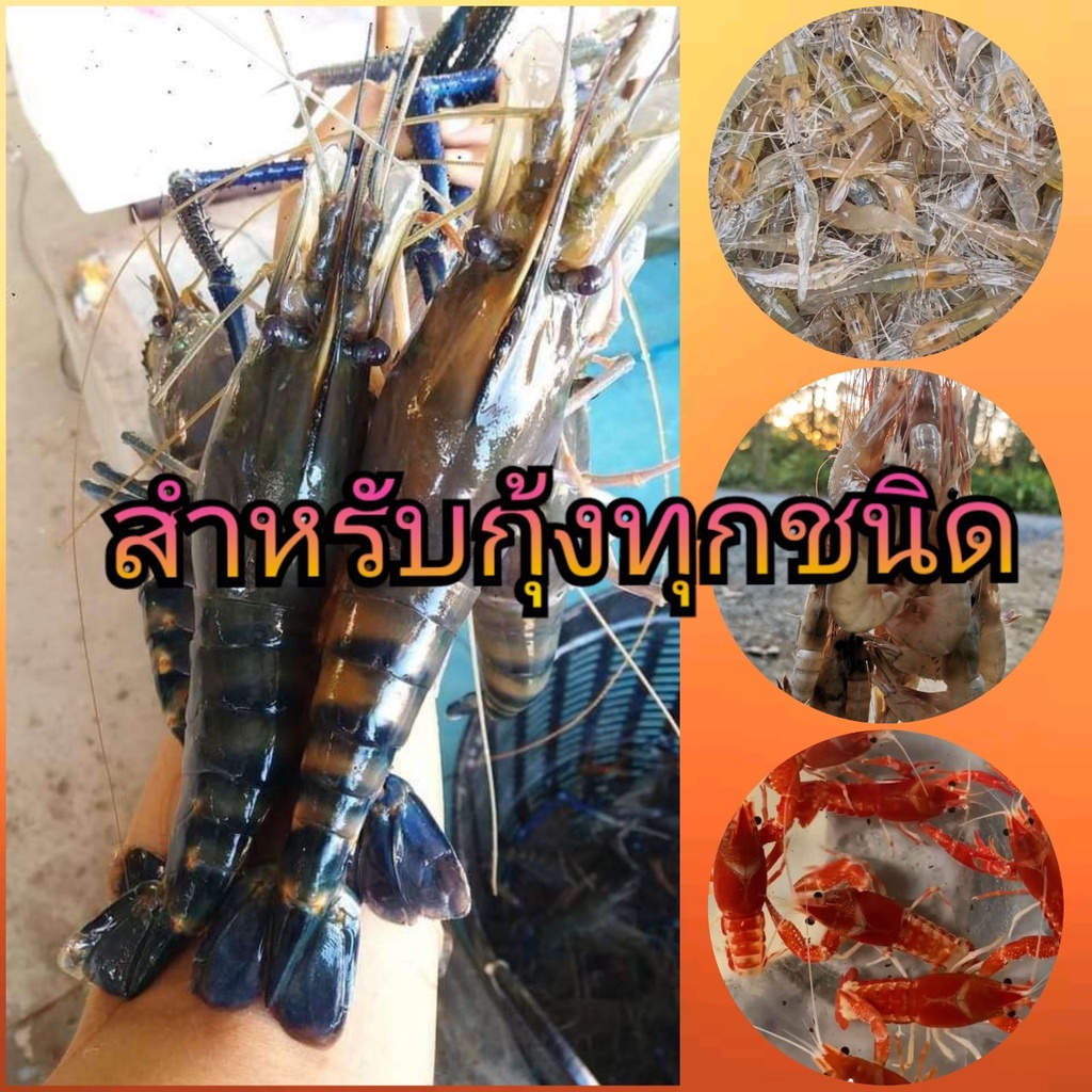 อาหารกุ้ง-คาร์กิล-25kg-ยกกระสอบ-38-ราคาประหยัด-คุณภาพดี-น้ำไม่เสีย-โปรตีนสูง