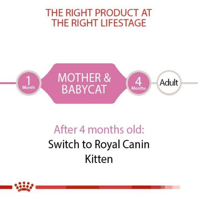 ล็อตใหม่-royal-canin-babycat-can-tray-อาหาร-เปียก-แม่แมวให้นม-และ-ลูกแมว-อายุ-1-4-เดือน-มูส-195-กรัม