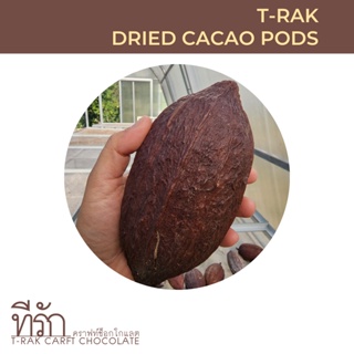 ผลโกโก้แห้ง สำหรับตกแต่ง (Dried Cacao Pods)