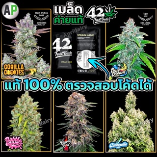 เมล็ดค่าย FastBuds เมล็ดกัญ ชา ออโต้ 420 นำเข้าของแท้ 100% พร้อมแพ็กเกจ เมล็ดเพศเมีย 100% GORILLA COOKIES / WEDDING GLUE