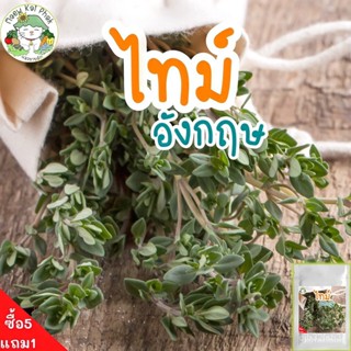 เมล็ดพันธุ์ ใหม่ สายพันธุ์ 2022เมล็ดอวบอ้วน ไทม์ อังกฤษ English Thyme Seed 500 เมล็ด เมล็ดอวบอ้วนแท้ นำเข้าจากต่/กะเพรา