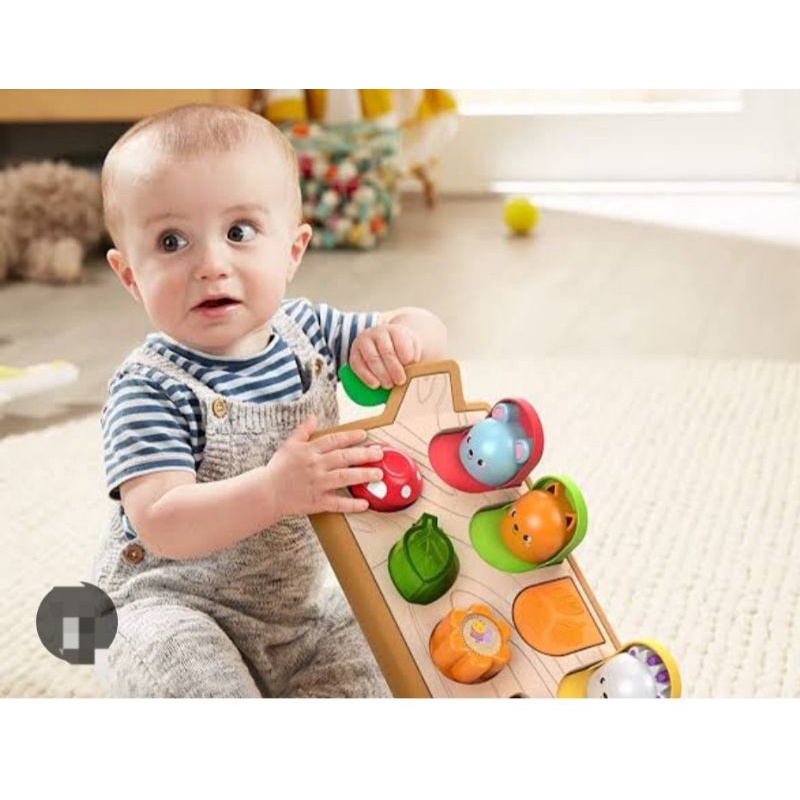 hide-amp-seek-pop-up-surprise-fisher-price