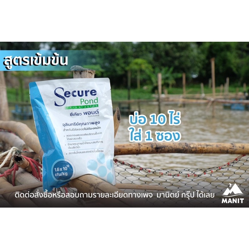 secure-pond-ซีเคียว-พอนด์-จุลินทรีย์ใส่บ่อไม่ต้องหมัก-ลดตะกอน-ของเสียพื้นบ่อ