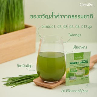 วีทกราส กิฟฟารีน WHEAT GRASS GIFFARINE ต้นอ่อนข้าวสาลี ดีท็อก เลือดจาง บำรุงเลือด ดีท้อกซ์ลำไส้ โลหิตจาง