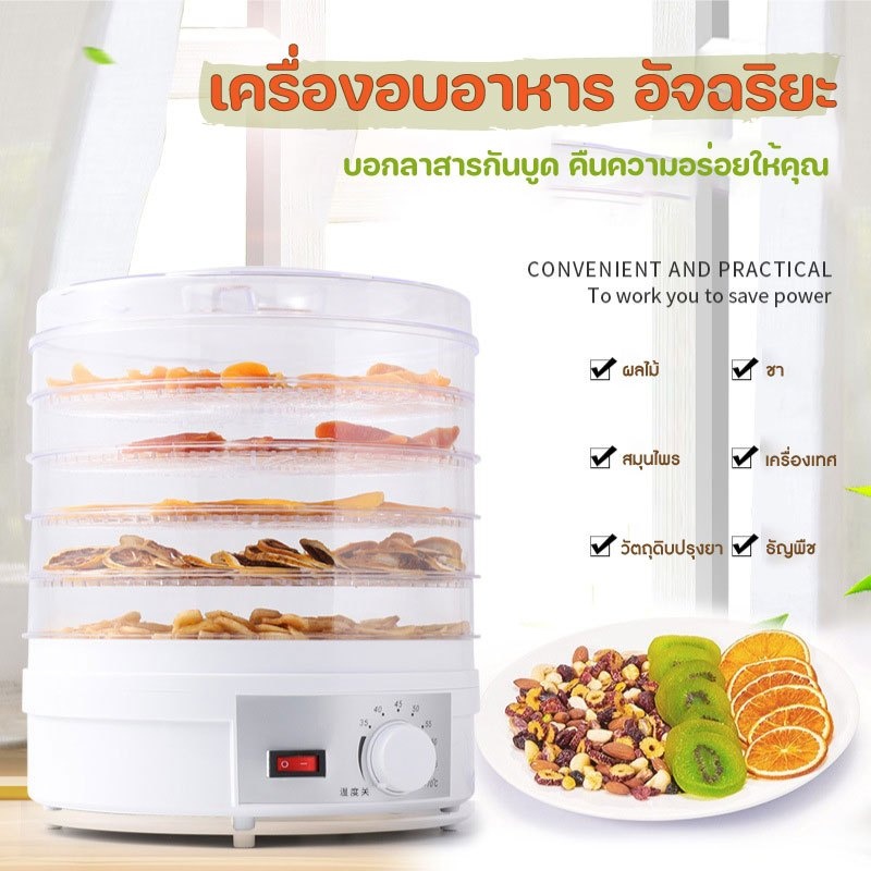 food-dryer-เครื่องทำผลไม้อบแห้ง