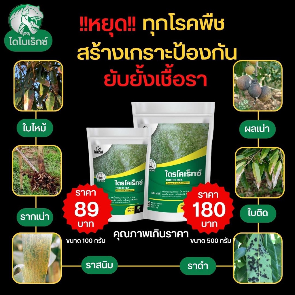 กำจัดเชื้อราโรคพืช-ใบไหม้-ราเน่า-ผลเน่า-ไตรโคเดอร์มา-ไตรโคเร็กซ์-ปลอดภัยต่อคนและสัตว์เลี้ยง-100