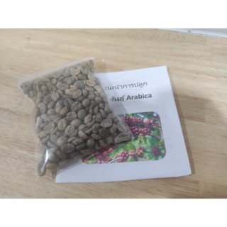 （คุณภาพสูง เมล็ด）เมล็ดกาแฟสดArabica(สำหรับปลูก)40เมล็ด*ฟรีคู่มือปลูก/ง่าย ปลูก สวนครัว เมล็ด/มะระ ZIPP